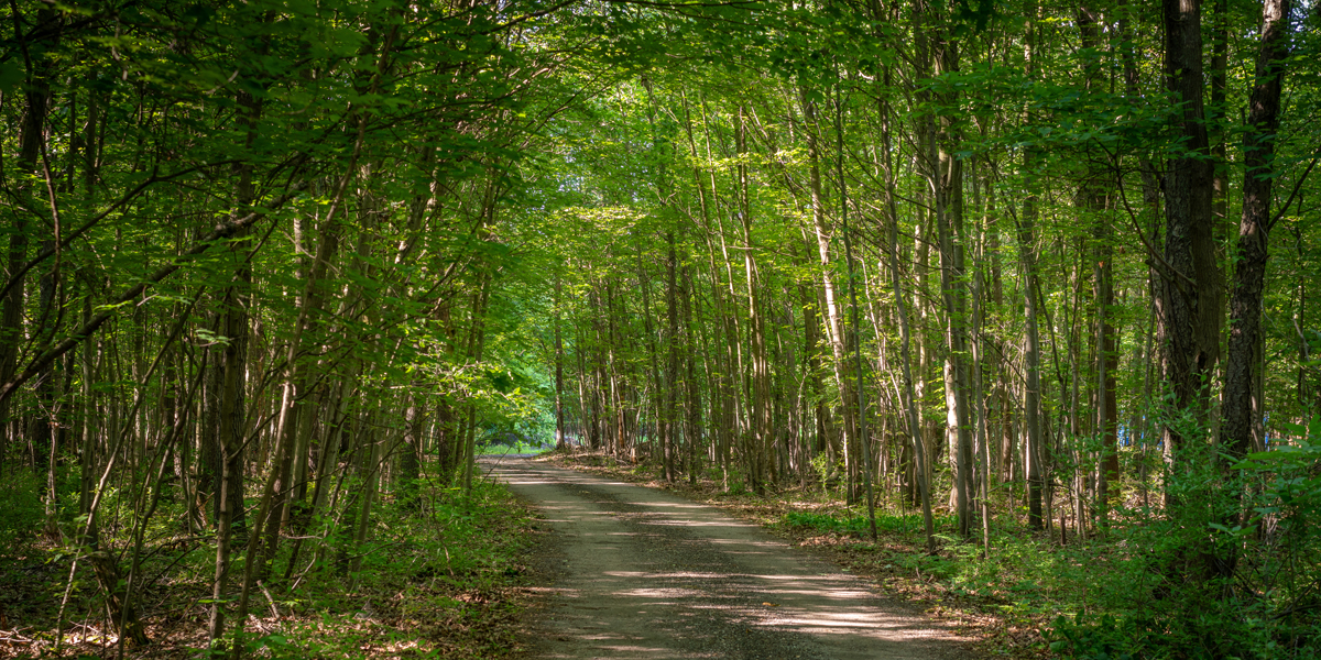 hiking trails